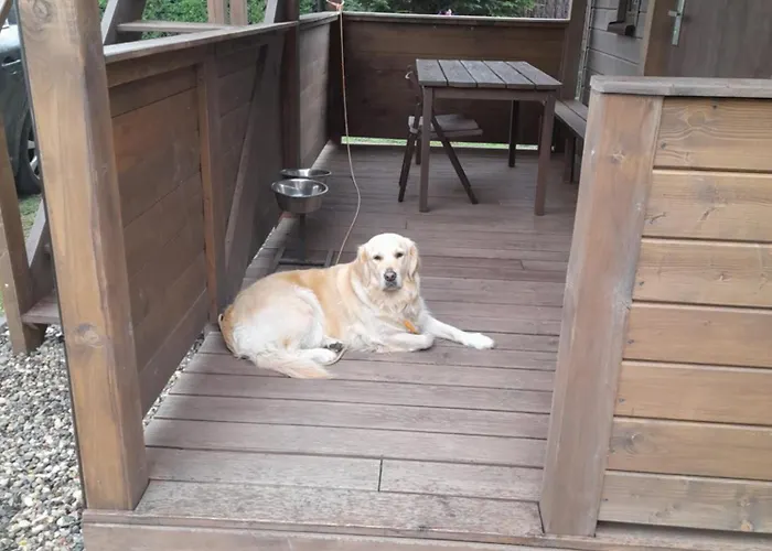 Harcowka 2 Zloty Stok